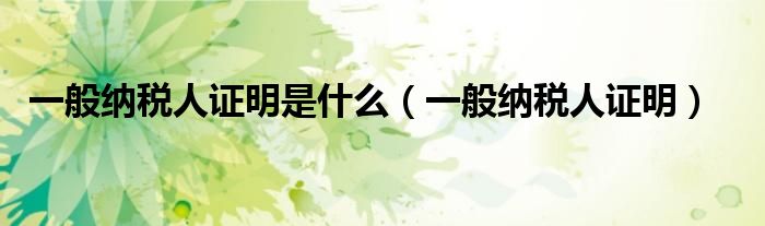 一般纳税人证明是什么（一般纳税人证明）