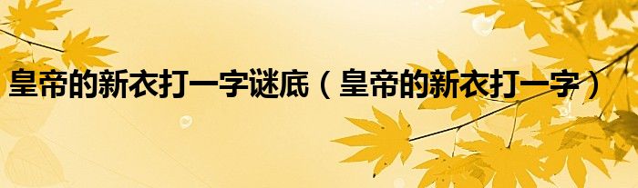 皇帝的新衣打一字谜底（皇帝的新衣打一字）