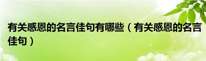 有关感恩的名言佳句有哪些（有关感恩的名言佳句）