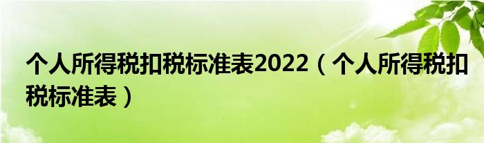 个人所得税扣税标准表2022（个人所得税扣税标准表）