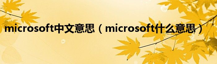 microsoft中文意思（microsoft什么意思）