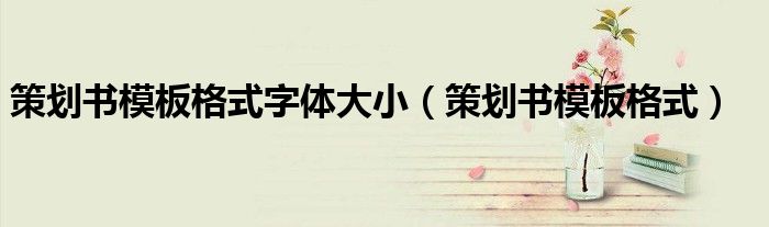 策划书模板格式字体大小（策划书模板格式）