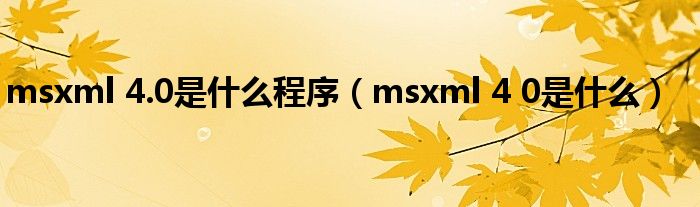 msxml 4.0是什么程序（msxml 4 0是什么）