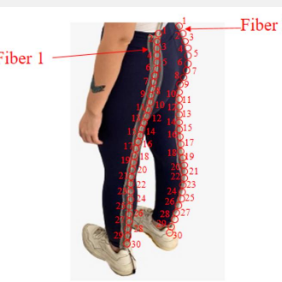 光纤智能裤提供了一种低成本的运动监控方式