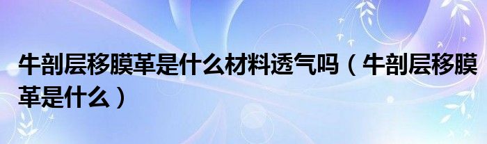 牛剖层移膜革是什么材料透气吗（牛剖层移膜革是什么）