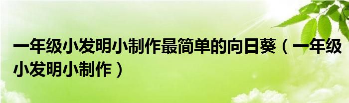 一年级小发明小制作最简单的向日葵（一年级小发明小制作）