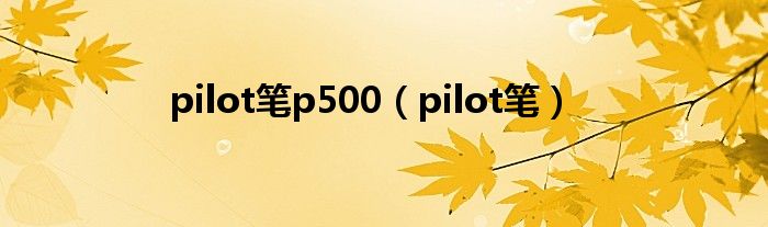 pilot笔p500（pilot笔）