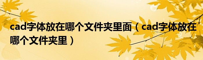 cad字体放在哪个文件夹里面（cad字体放在哪个文件夹里）