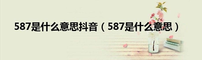 587是什么意思抖音（587是什么意思）