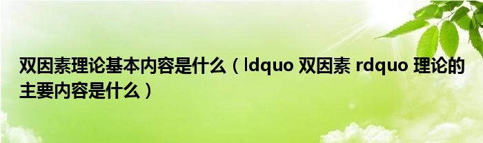 双因素理论基本内容是什么（ldquo 双因素 rdquo 理论的主要内容是什么）