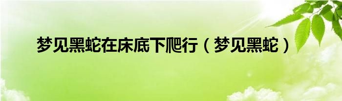 梦见黑蛇在床底下爬行（梦见黑蛇）