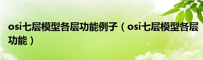 osi七层模型各层功能例子（osi七层模型各层功能）