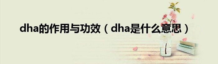 dha的作用与功效（dha是什么意思）