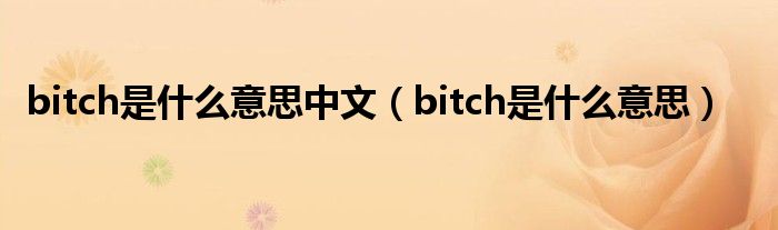 bitch是什么意思中文（bitch是什么意思）