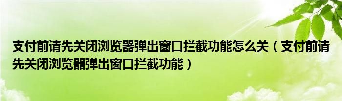 支付前请先关闭浏览器弹出窗口拦截功能怎么关（支付前请先关闭浏览器弹出窗口拦截功能）