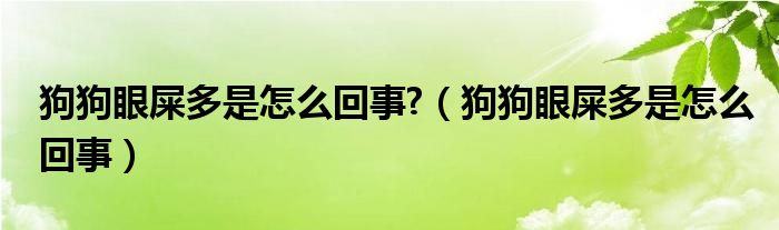 狗狗眼屎多是怎么回事?（狗狗眼屎多是怎么回事）