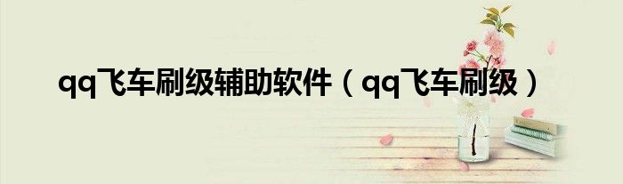 qq飞车刷级辅助软件（qq飞车刷级）