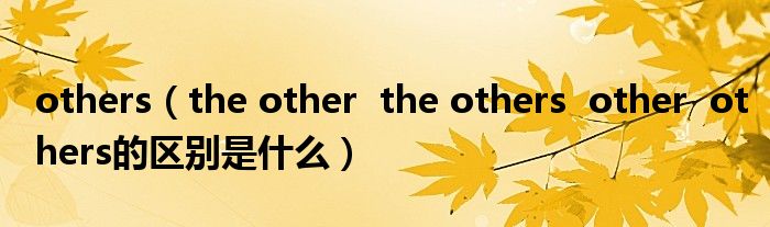 others（the other  the others  other  others的区别是什么）