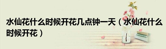 水仙花什么时候开花几点钟一天（水仙花什么时候开花）