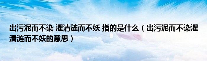 出污泥而不染 濯清涟而不妖 指的是什么（出污泥而不染濯清涟而不妖的意思）