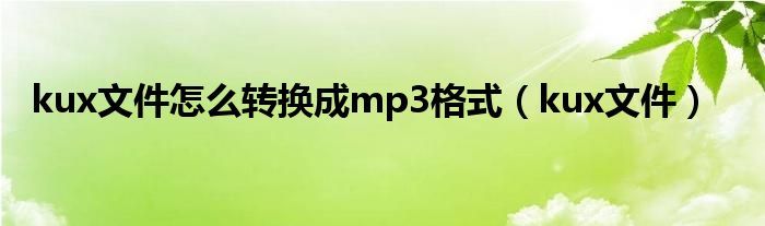 kux文件怎么转换成mp3格式（kux文件）