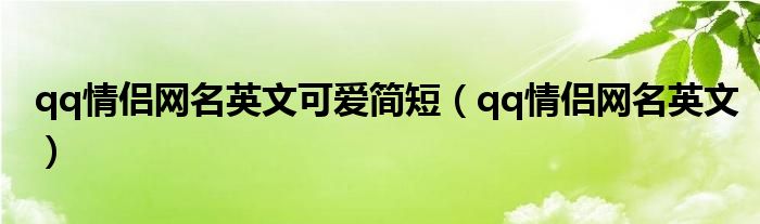 qq情侣网名英文可爱简短（qq情侣网名英文）