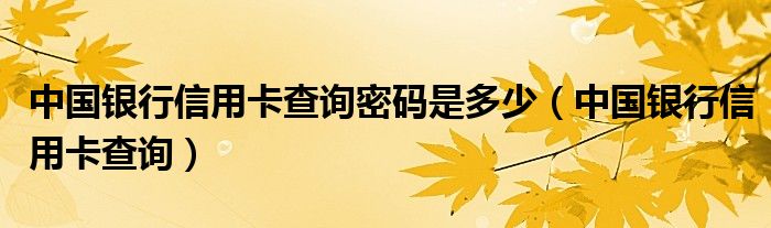 中国银行信用卡查询密码是多少（中国银行信用卡查询）