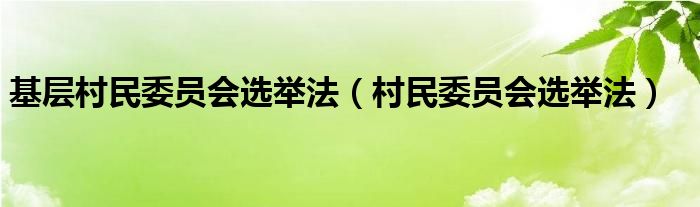 基层村民委员会选举法（村民委员会选举法）