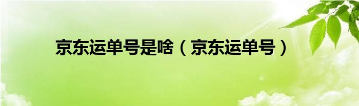 京东运单号是啥（京东运单号）