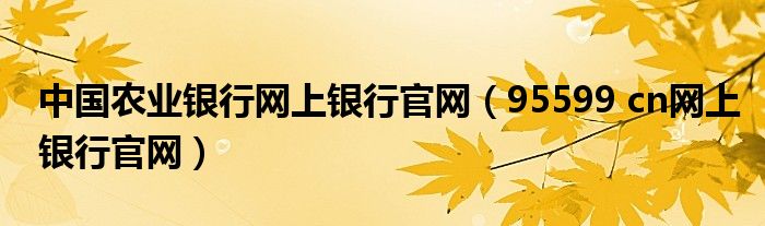 中国农业银行网上银行官网（95599 cn网上银行官网）
