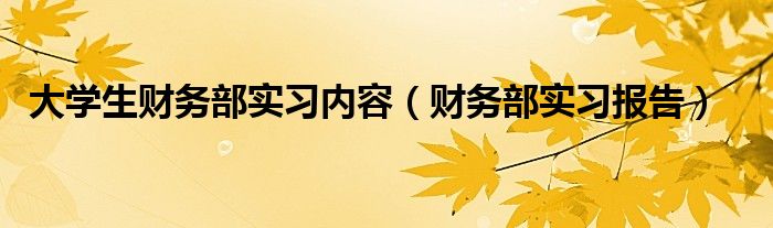 大学生财务部实习内容（财务部实习报告）