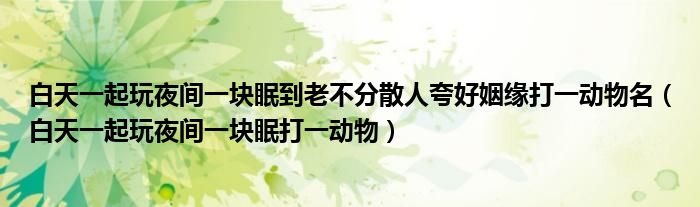 白天一起玩夜间一块眠到老不分散人夸好姻缘打一动物名（白天一起玩夜间一块眠打一动物）