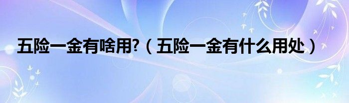 五险一金有啥用?（五险一金有什么用处）