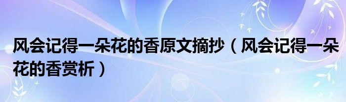 风会记得一朵花的香原文摘抄（风会记得一朵花的香赏析）
