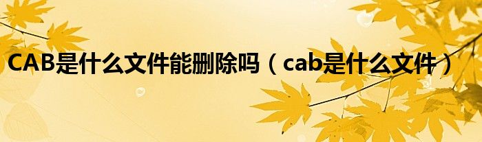 CAB是什么文件能删除吗（cab是什么文件）