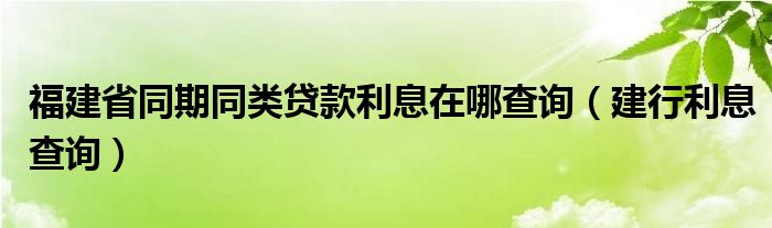 福建省同期同类贷款利息在哪查询（建行利息查询）