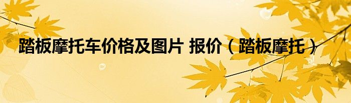 踏板摩托车价格及图片 报价（踏板摩托）