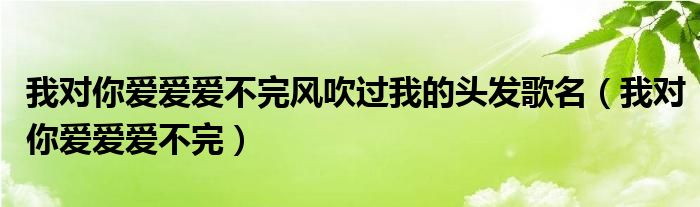 我对你爱爱爱不完风吹过我的头发歌名（我对你爱爱爱不完）