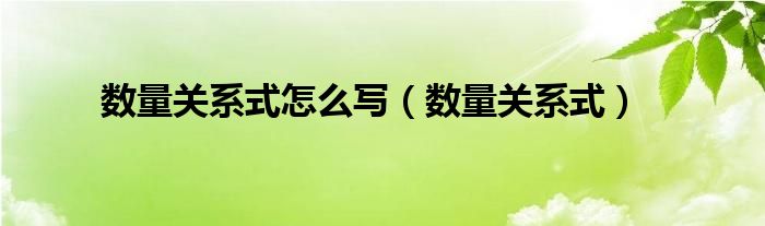 数量关系式怎么写（数量关系式）