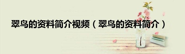 翠鸟的资料简介视频（翠鸟的资料简介）