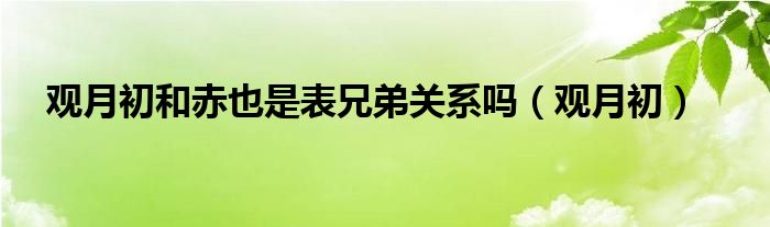 观月初和赤也是表兄弟关系吗（观月初）