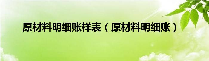 原材料明细账样表（原材料明细账）