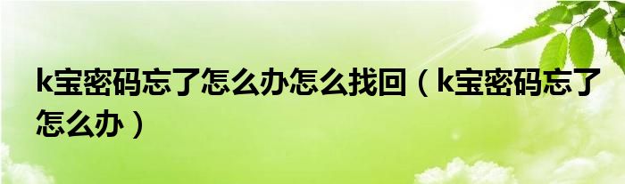 k宝密码忘了怎么办怎么找回（k宝密码忘了怎么办）