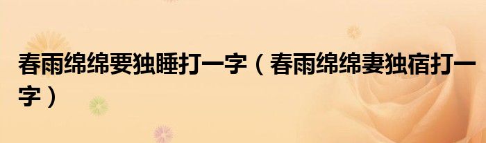 春雨绵绵要独睡打一字（春雨绵绵妻独宿打一字）