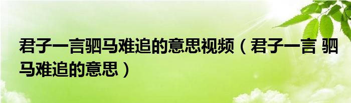 君子一言驷马难追的意思视频（君子一言 驷马难追的意思）