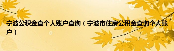 宁波公积金查个人账户查询（宁波市住房公积金查询个人账户）