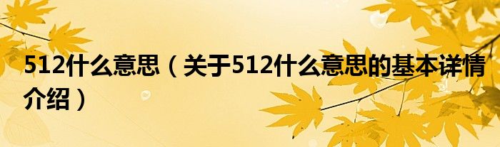 512什么意思（关于512什么意思的基本详情介绍）