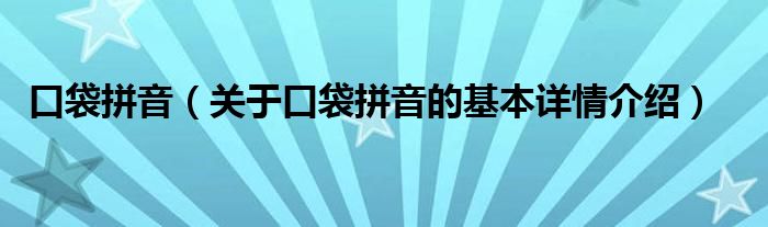 口袋拼音（关于口袋拼音的基本详情介绍）