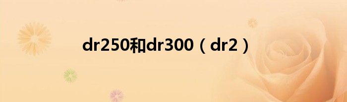 dr250和dr300（dr2）