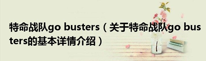 特命战队go busters（关于特命战队go busters的基本详情介绍）